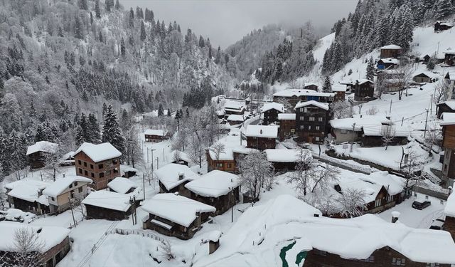 Rize, Artvin, Ordu ve Bayburt'ta Soğuk Hava Etkisini Sürdürüyor