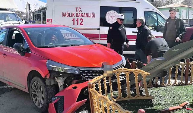 Araç içerisindeki köpek üzerine atlayınca direksiyon hakimiyetini kaybetti