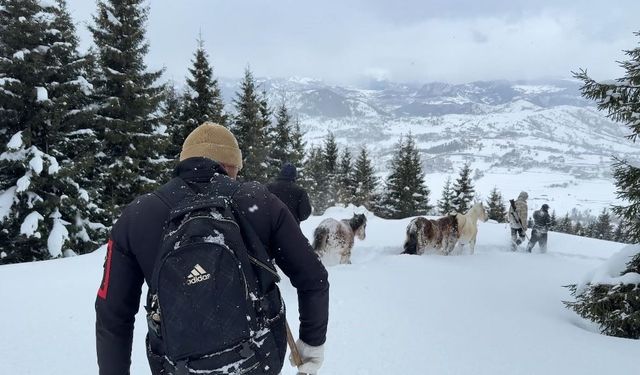 Kar Altında Mahsur Kalan Atları Köyün Gençleri Kurtardı