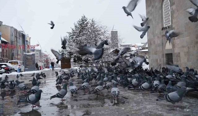 Meteorolojiden çığ, don ve buzlanma uyarısı