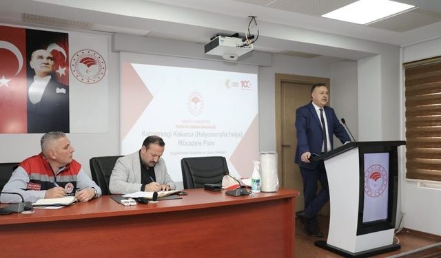 Trabzon'da kahverengi kokarca ile mücadelede yol haritası belirlendi
