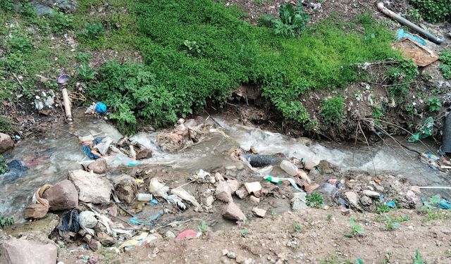 Artvin Bunu Mu Hak Ediyor?