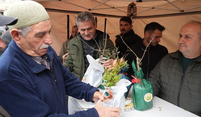 7 Bin Fidan Dağıtıldı