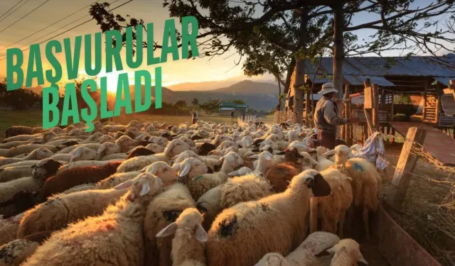 Yetiştiricilere Destek Fırsatı