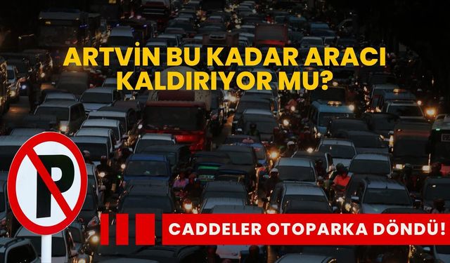 Artvin’de İnsandan Çok Araç Var!