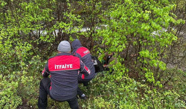 Araç Uçuruma Yuvarlandı