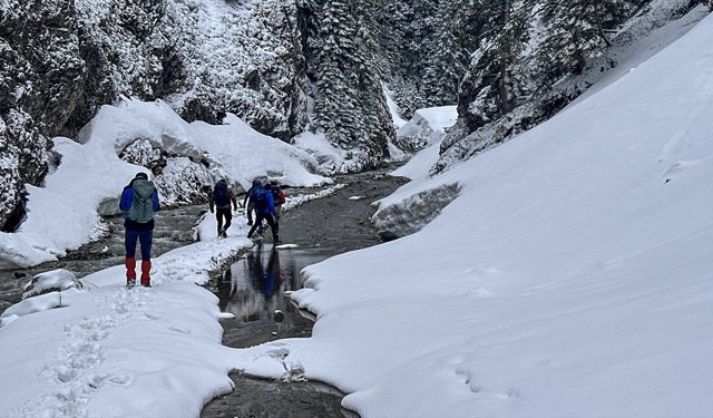 Baharda kar yağışının beyaza bürüdüğü Ilgaz doğaseverlerden ilgi görüyor