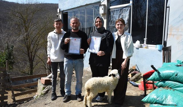Samsun'da 46 yıllık arazi paylaşımı sorunu arabulucuyla 28 günde çözüldü