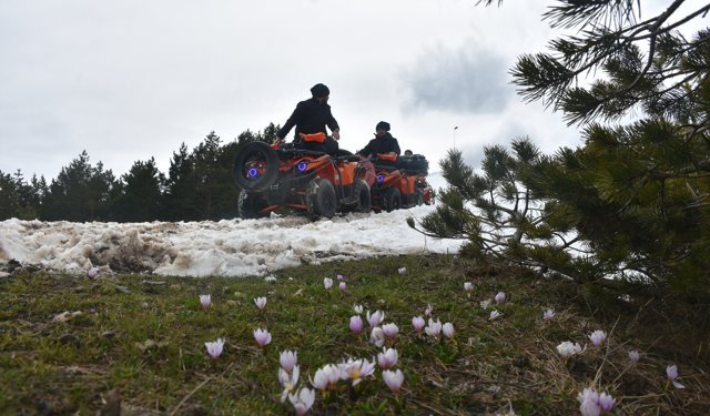Zigana Dağı safari yapmak isteyenleri ağırlıyor