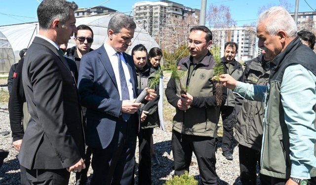 22 yılda 109 milyon 508 bin adet fidan toprakla buluştu