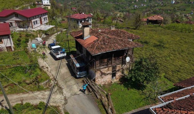 Kahverengi Kokarcaya Karşı Kışlaklardan Çıkış Öncesi İlaçlama Hız Kazandı