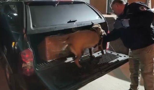 Samsun'da uyuşturucu operasyonunda 165 bin hap ele geçirildi