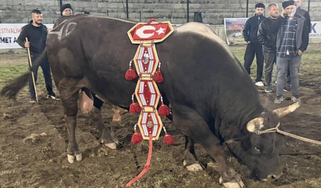 MERALARIN EFENDİSİ POYRAZ