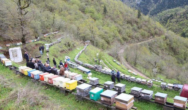 Apiturizmde Gelecek Vadediyor