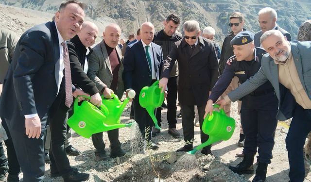 450 Butko Zeytini Fidanı Toprakla Buluştu