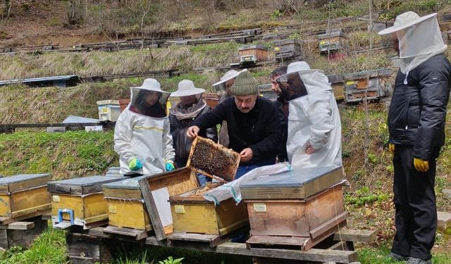 Hatila Balı Denetimleri Devam Ediyor