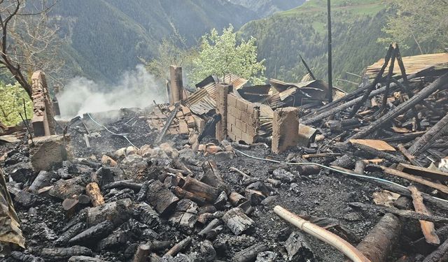 Rize'de iki ev çıkan yangında hasar gördü