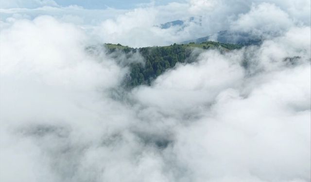 Samsun'da etkili olan sis dronla görüntülendi