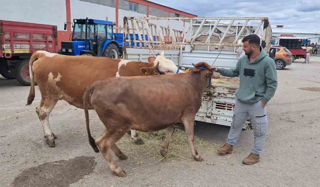 Erzurum'da kurban pazarı hareketlendi