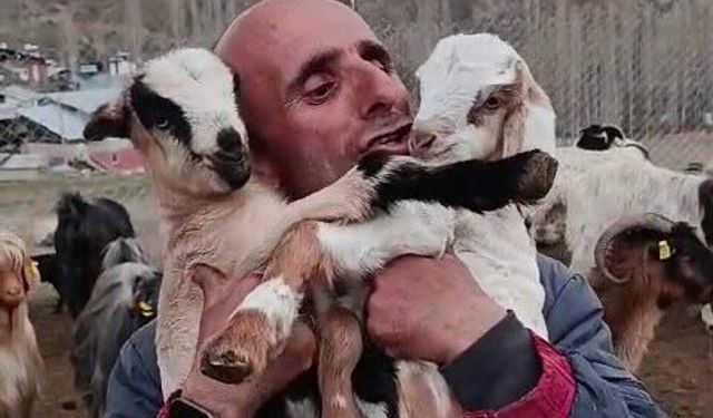 Fenomen çobanın oğlak sevgisi yürekleri ısıttı