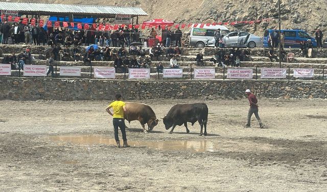Nefes Kesen Mücadeleler Başladı