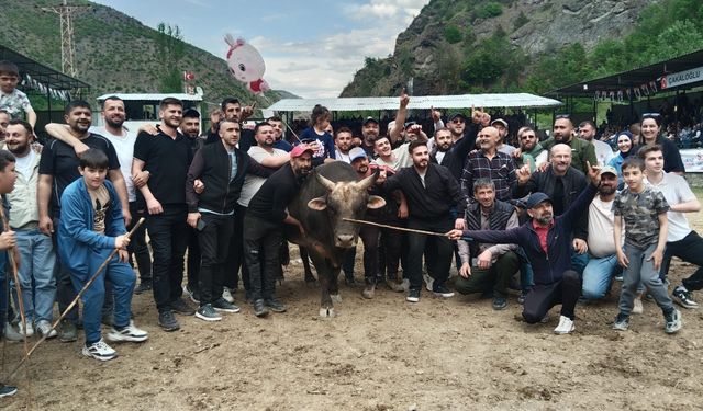 Melo Boğa Güreşleri Festivali Renkli Görüntülerle Sona Erdi