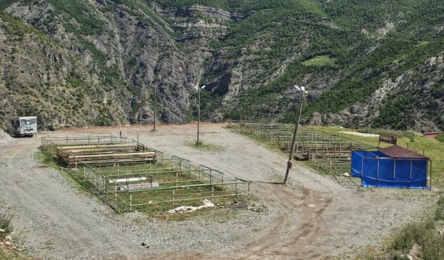 Kurban Pazarı Sinek Avlıyor