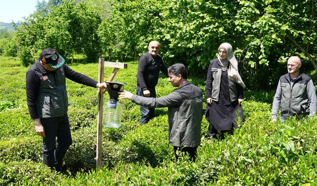 Kahverengi Kokarca İle Biyoteknik Mücadele