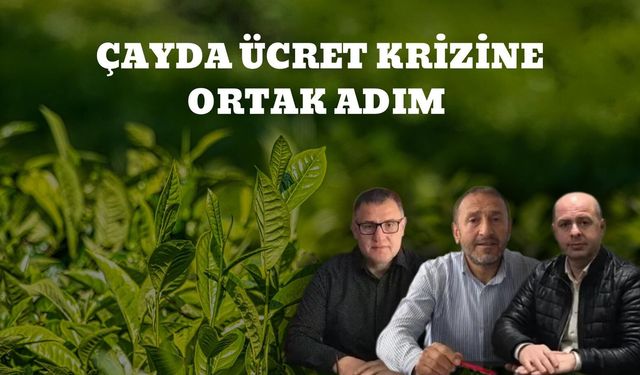 Çay Sezonuna Ortak Ücret Deklarasyonu
