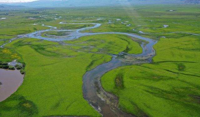 Ardahan'da yeşile bürünen Kura Nehri'nin menderesleri FPV dronla görüntülendi