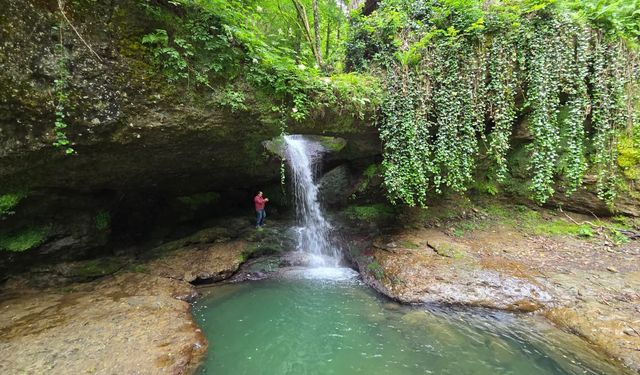 Artvin'in 'Ormanın Yüzüğü' Olarak Adlandırılan Şelalesi Ziyaretçilerini Ağırlıyor