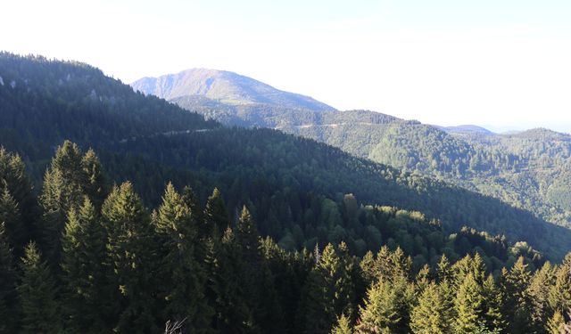 Doğanın, mitolojinin ve lezzetin buluşma noktası: Giresun