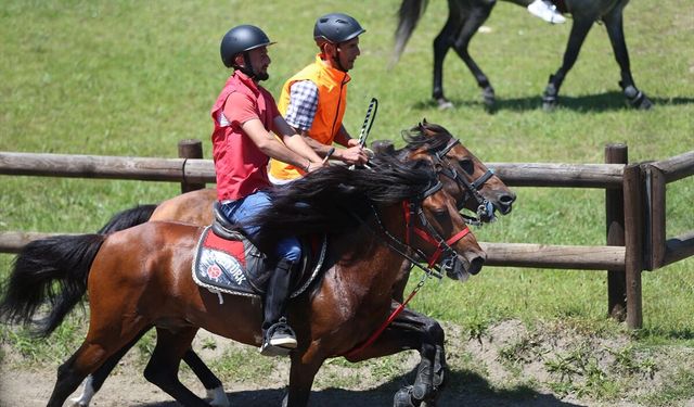 Ordu'da Geleneksel Rahvan At Yarışları düzenlendi