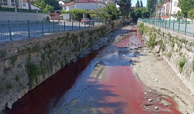 Samsun'da dereyi zirai ilaç ile kirleten işletmeye suç duyurusu
