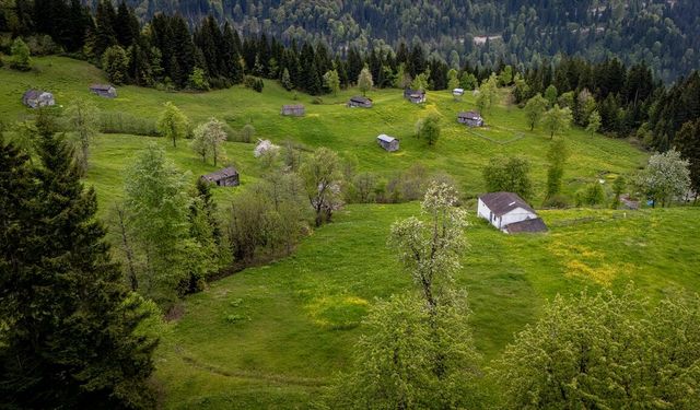 Trabzon'un yaylaları doğal güzellikleriyle ziyaretçilerini ağırlıyor