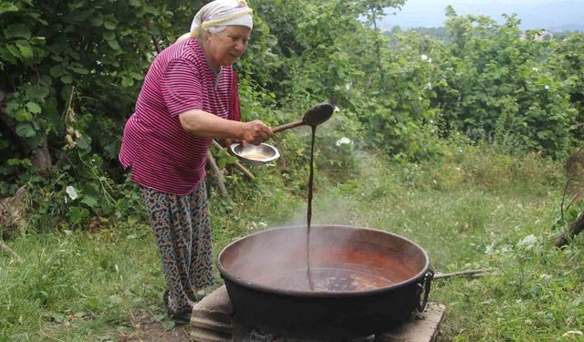 Dutların pekmeze dönüşen zahmetli yolculuğu