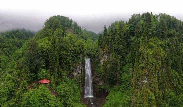 Macahel'in Saklı Cenneti Maral Şelalesi Ziyaretçilerini Büyülüyor