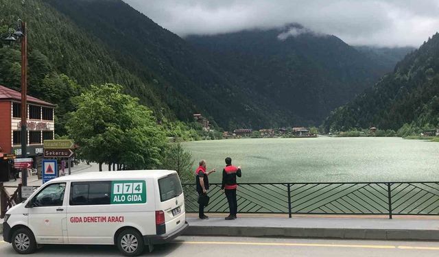 Uzungöl'de turizm sezonu öncesi sıkı denetim