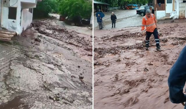 Artvin'de Sağanak Sonrası Dereler Taştı