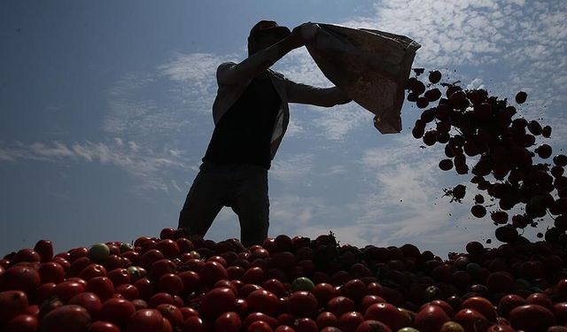 Valiliklere 'mevsimlik işçilerin çalışma ve yaşam koşullarının iyileştirilmesi' talimatı