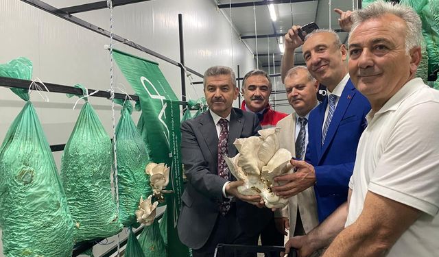 Artvin Üretti: İlk Hasat Gerçekleştirildi