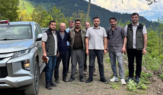 Yanıklı'da Orman Zirvesi