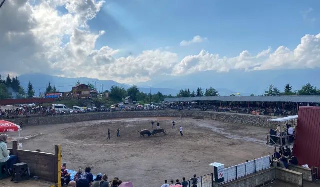 Geleneksel Festival İçin Geri Sayım Başladı