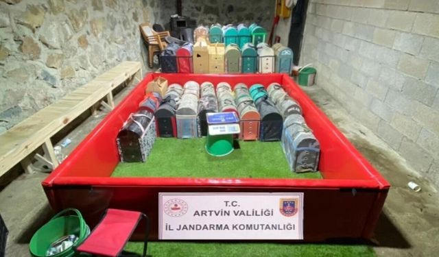 Horoz Dövüşüne Jandarma Baskını