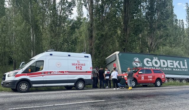 Erzurum'da ağaçlara çarpan tırın sürücüsü öldü