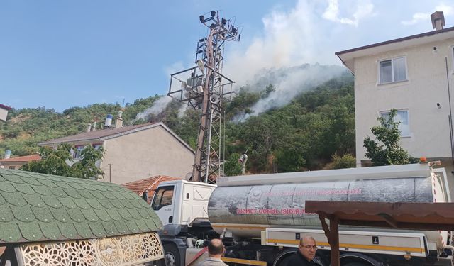 Kastamonu'da çıkan orman yangınına müdahale ediliyor