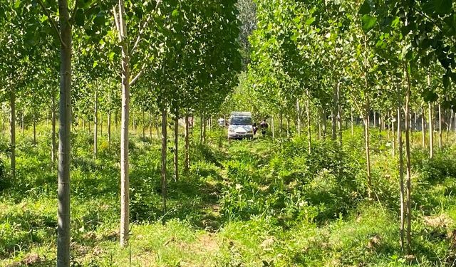 Kastamonu'da kavaklık alanda bir kişi ölü bulundu