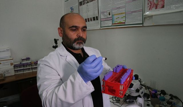 Kenelere karşı 'dikkatli olunması ancak panik yapılmaması' uyarısı