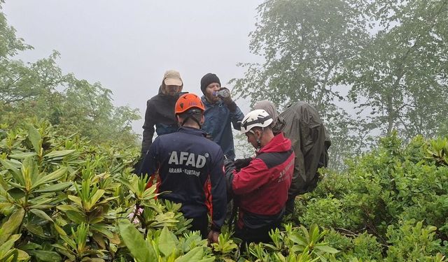 Rize'de yaylada kaybolan 3 yabancı uyruklu kişi kurtarıldı