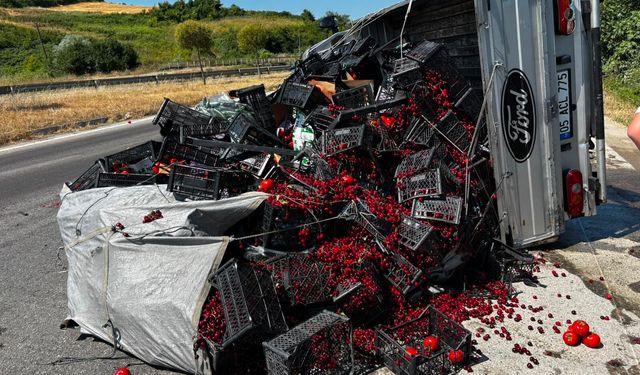 Samsun'da meyve yüklü kamyonet devrildi, 1 kişi yaralandı